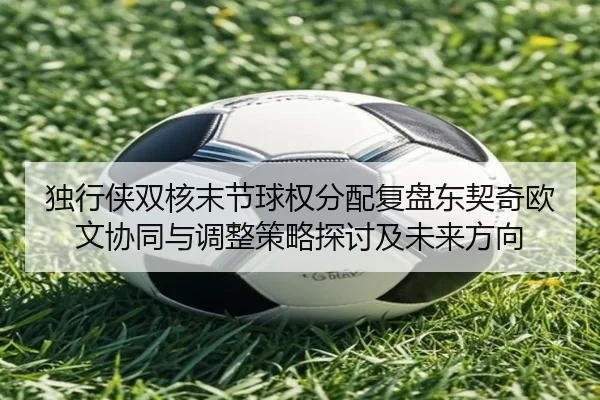 独行侠双核末节球权分配复盘东契奇欧文协同与调整策略探讨及未来方向